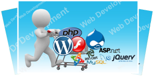web development company